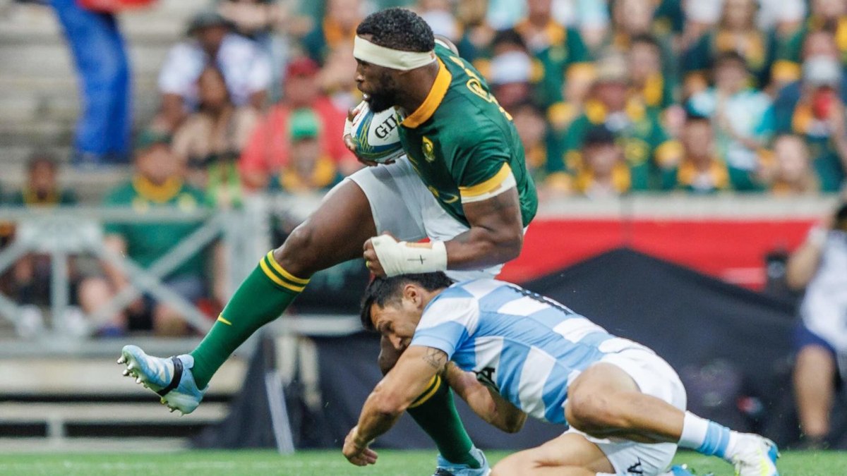 Springboks vs Argentina: A Crucial Rugby Championship Clash | MySportsZA