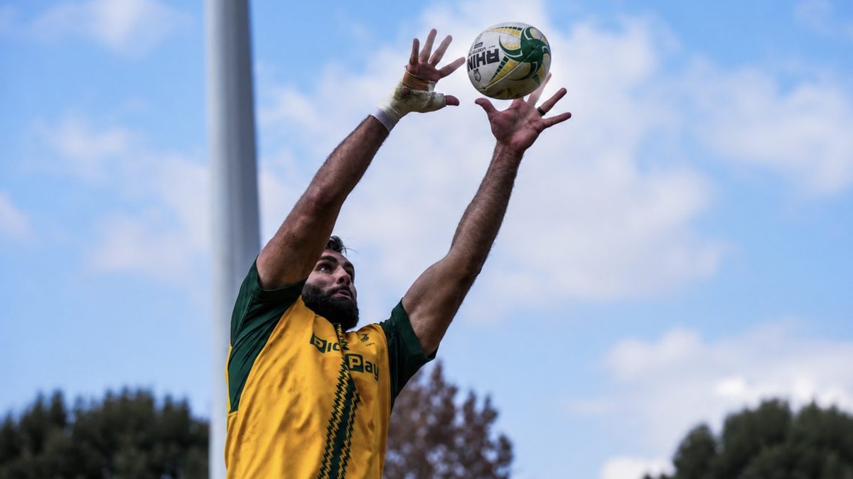 Springboks Add Stormers Locks Van Heerden and Smith to Squad | MySportsZA